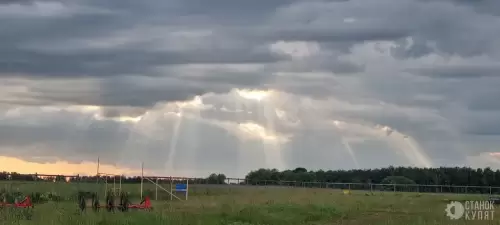 Малиновая ферма 770189 фото 6
