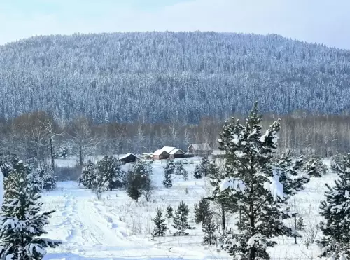 Турбаза Дикий Урал 770177 фото 6